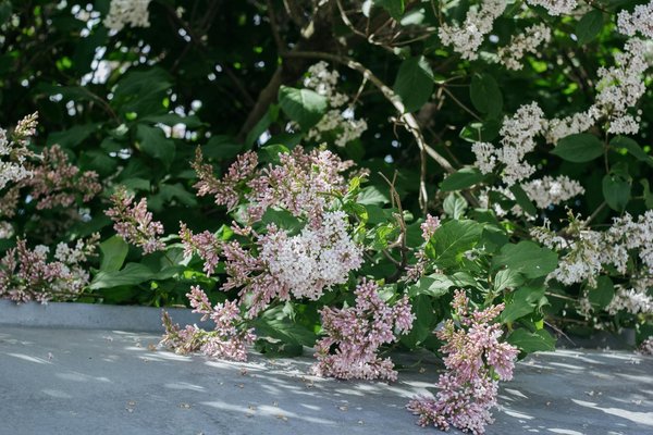 What innovative home gadgets are trending in the UK?